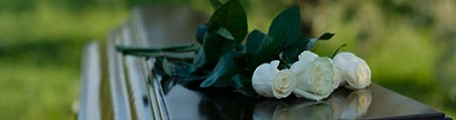 济南生态葬花坛葬