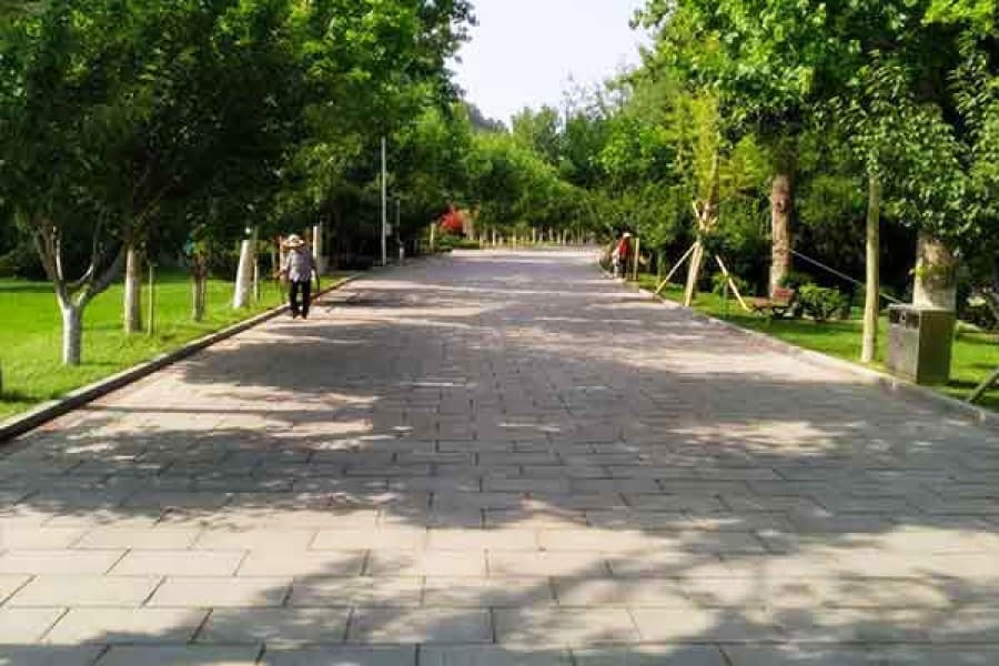 实拍景观