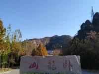 实拍景观