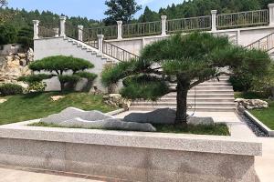 园区景观图