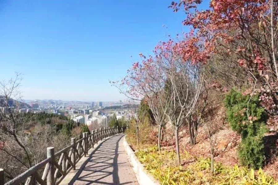 济南市公墓价格的波动与时间相关吗？