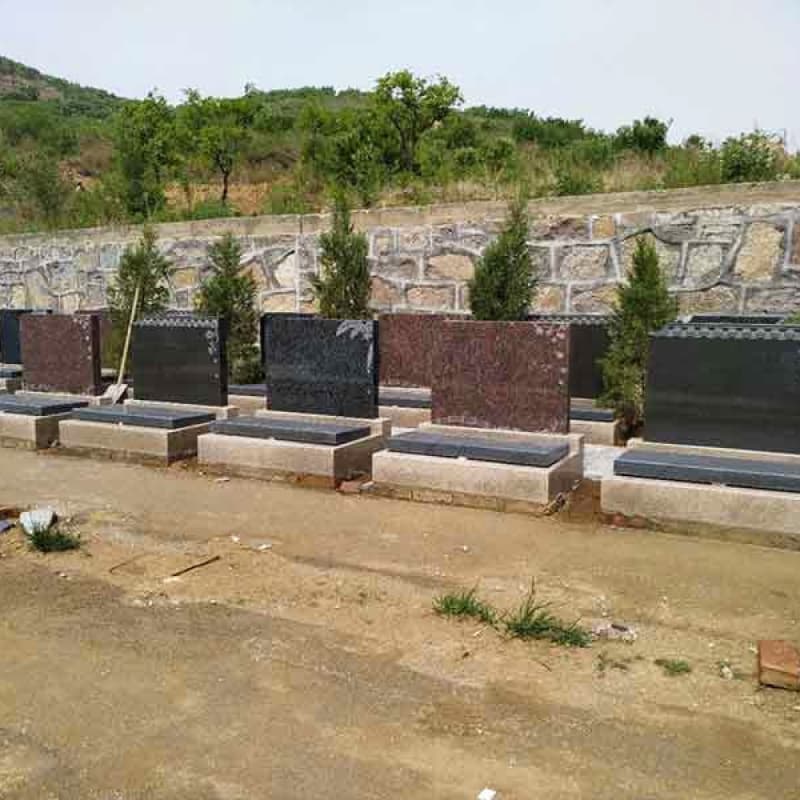 Group 5.jpg