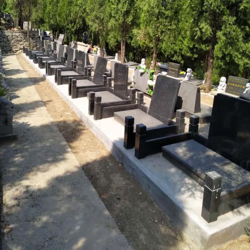 Group 8.jpg